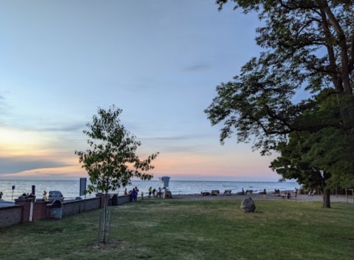 A serene beach scene at sunset, with trees, grass, and people enjoying the view by the water.