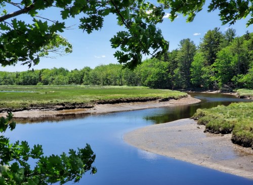 A serene river winding through lush green fields and trees under a clear blue sky.