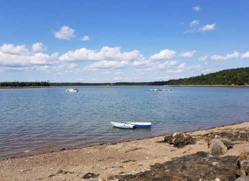 A calm lake with a small boat on the shore, surrounded by trees and a blue sky with fluffy clouds.