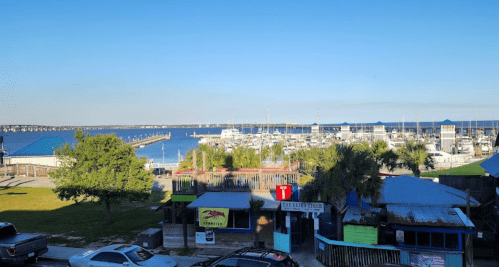 A scenic view of a marina with boats, palm trees, and a clear blue sky.