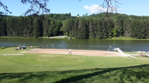 A serene lakeside view with a sandy area, green grass, and trees in the background under a clear blue sky.