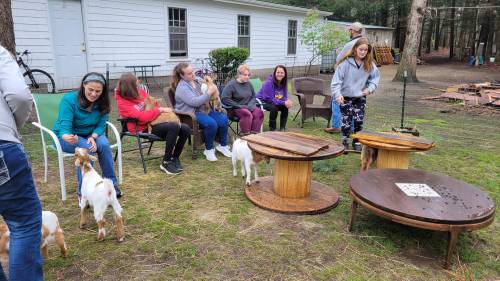 A group of people sitting outdoors with goats around them, enjoying a casual gathering in a backyard setting.