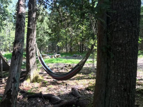 A colorful hammock hangs between two trees in a serene forest setting, surrounded by greenery and a rustic picnic area.
