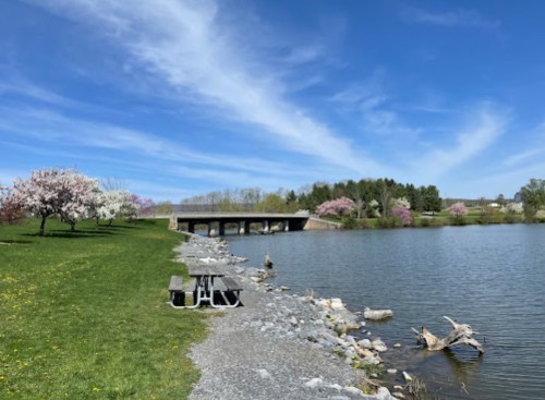 A serene lakeside scene with blooming trees, a bridge, and a picnic table on the grassy shore under a blue sky.