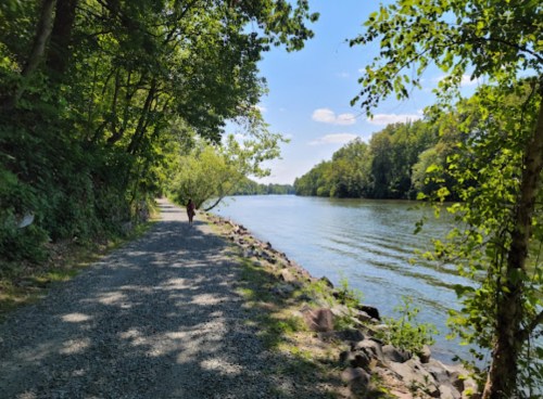 A peaceful riverside path lined with trees, with a person walking along the water under a clear blue sky.
