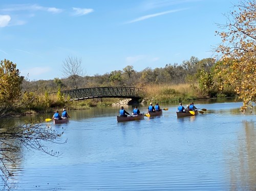 A group of people in blue shirts kayaking on a calm lake with a bridge in the background and autumn foliage.