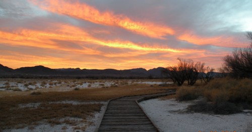A wooden path leads through a grassy area under a vibrant sunset with orange and pink hues in the sky.