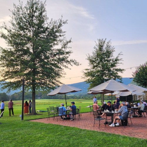 Outdoor gathering with people seated under umbrellas, surrounded by trees and a scenic landscape at sunset.