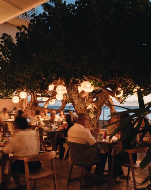 A cozy restaurant scene with diners under a large tree adorned with glowing lanterns, overlooking the ocean at dusk.