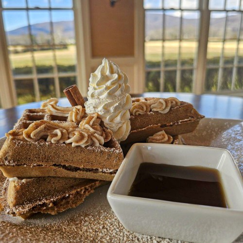 A plate of waffles topped with whipped cream and a cinnamon stick, served with a small dish of syrup.