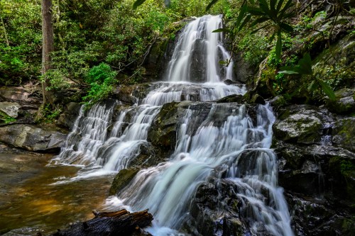 A serene waterfall cascading over rocks, surrounded by lush greenery in a tranquil forest setting.