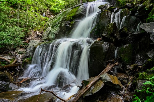 A serene waterfall cascades over moss-covered rocks, surrounded by lush greenery in a tranquil forest setting.