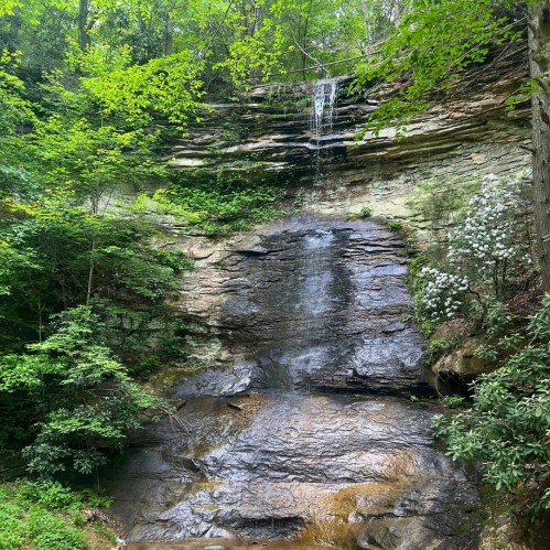 A serene waterfall cascading down rocky cliffs, surrounded by lush green foliage and trees.