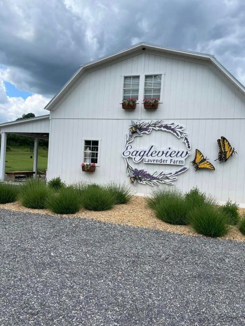 A white barn with "Eagleview Lavender Farm" sign, surrounded by greenery and butterfly decorations under a cloudy sky.