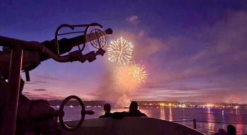 A view of fireworks over water at dusk, with silhouettes of people and a telescope in the foreground.