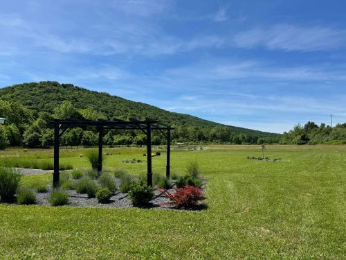 A scenic view of a green field with a black pergola, surrounded by shrubs and a distant hill under a clear blue sky.