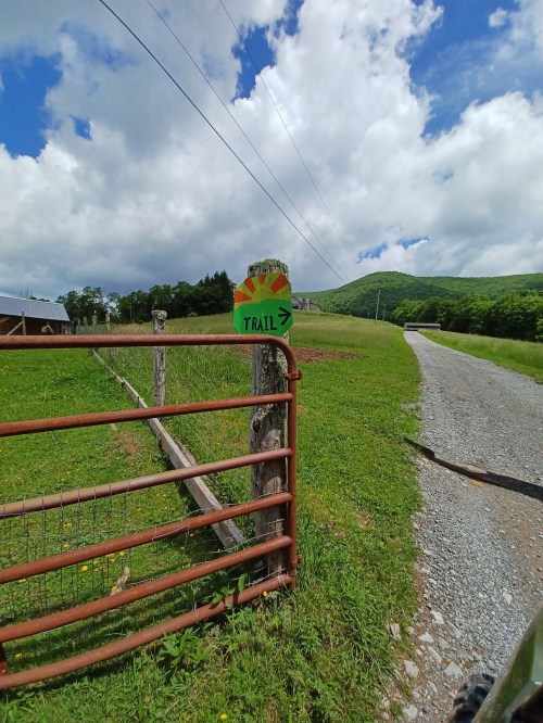 A colorful sign on a wooden post points right towards a trail, with a grassy field and mountains in the background.