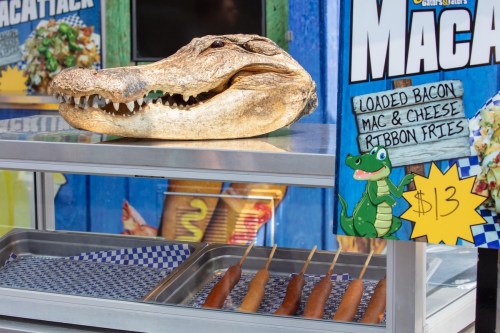 A crocodile skull displayed on a food stall with loaded mac and cheese and corn dogs for sale.