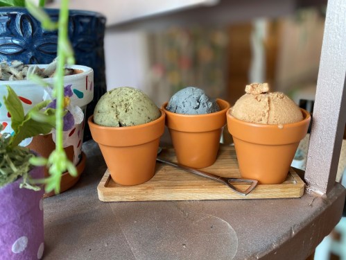 Three ice cream scoops in small terracotta pots, arranged on a wooden tray with a small shovel, surrounded by plants.