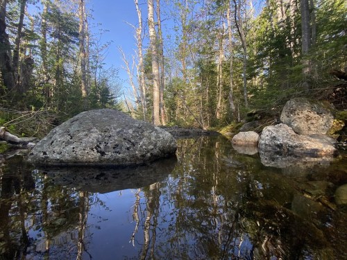 A serene forest scene with a calm stream reflecting trees and rocks under a clear blue sky.