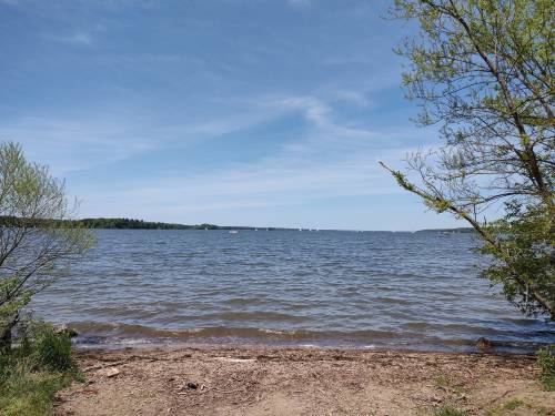 A serene lakeside view with gentle waves, trees on the shore, and sailboats in the distance under a clear blue sky.