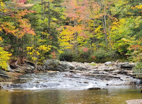A serene river flows over rocks, surrounded by vibrant autumn foliage in shades of green, yellow, and red.
