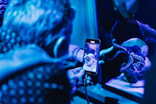 A person takes a photo of an octopus display in a blue-lit aquarium.