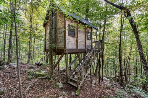 A wooden treehouse perched on stilts among lush green trees in a forest setting.