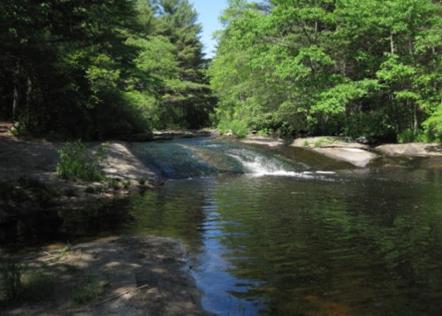 A serene river flows through a lush green forest, with smooth rocks and gentle ripples in the water.