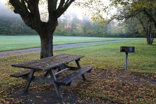 A picnic table under a tree, surrounded by fallen leaves, with a mailbox nearby and a misty landscape in the background.