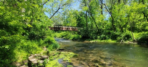A serene creek surrounded by lush greenery, with a wooden bridge crossing over it under a clear blue sky.