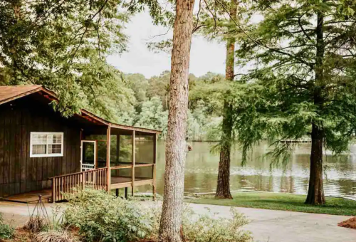 A rustic cabin by a serene lake, surrounded by lush trees and greenery.