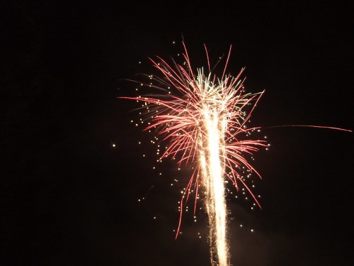 Colorful fireworks burst in the night sky, creating a vibrant display of red, green, and gold sparks.