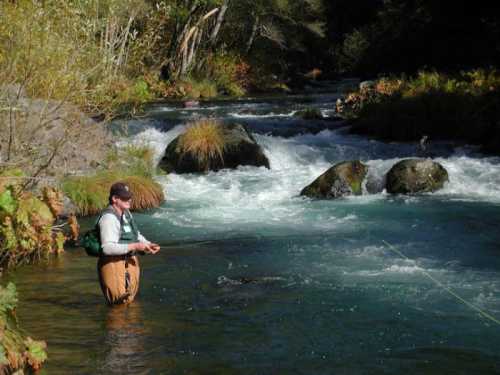 A person fishing in a river surrounded by rocks and trees, with gentle rapids flowing in the background.