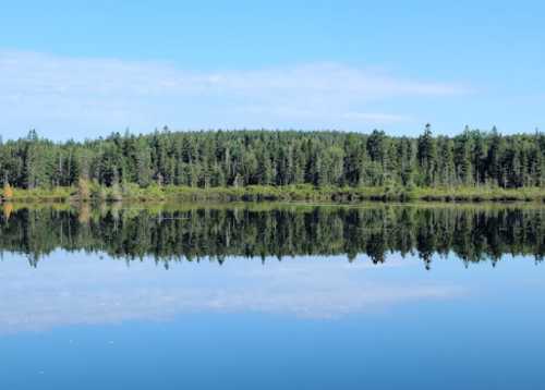 A serene lake reflecting a lush green forest under a clear blue sky.