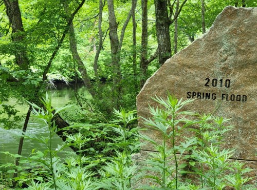 A large stone marker in a lush green forest, inscribed with "2010 SPRING FLOOD," near a calm river.