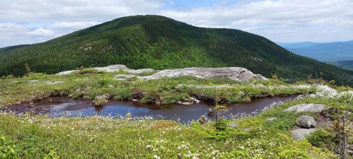 A scenic view of a green mountain with rocky outcrops and a small pond, surrounded by lush vegetation and clouds.
