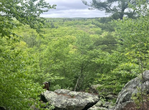 Lush green forest viewed from a rocky outcrop, with a cloudy sky above and trees stretching into the distance.
