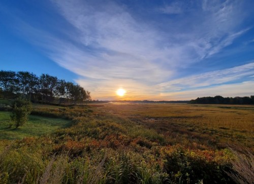 A serene landscape at sunset, featuring a golden sky, grassy fields, and trees silhouetted against the horizon.