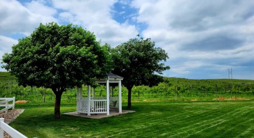 A gazebo surrounded by lush green trees and a grassy area, with a vineyard and cloudy sky in the background.