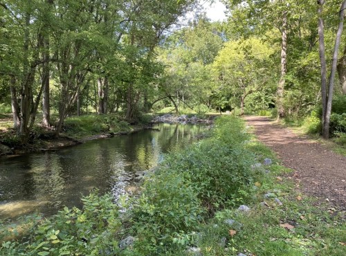 A serene river flows beside a tree-lined path, surrounded by lush greenery and dappled sunlight.