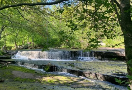 A serene waterfall cascades over rocks, surrounded by lush green trees and foliage in a peaceful natural setting.