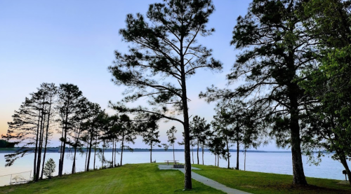 A serene lakeside scene with tall trees and a grassy area, reflecting calm waters under a twilight sky.