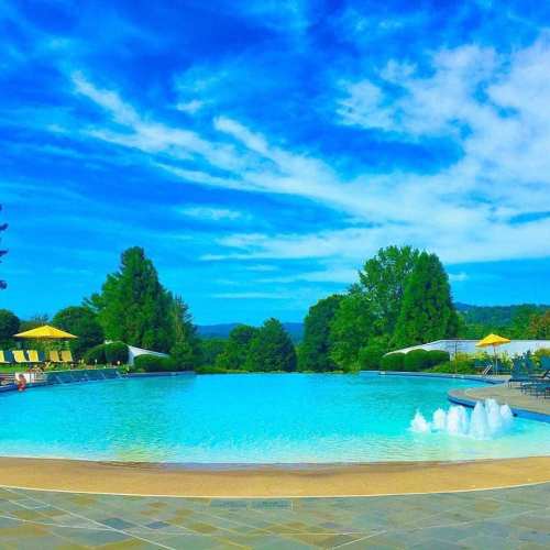 A serene outdoor pool surrounded by lush greenery and yellow umbrellas under a bright blue sky.
