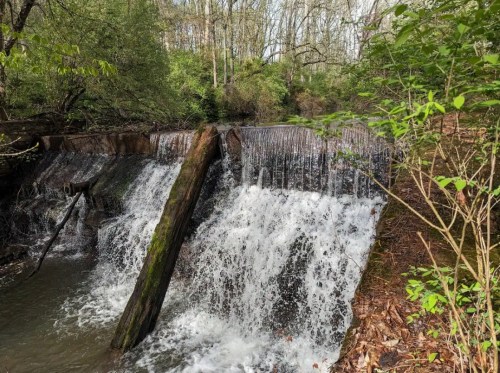 A serene waterfall cascades over a rocky ledge, surrounded by lush greenery and trees in a peaceful forest setting.