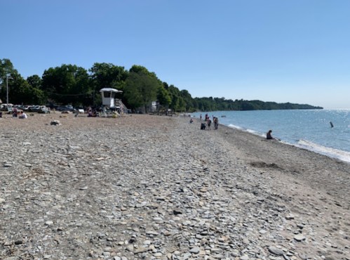 A sunny beach scene with people enjoying the shore, rocky terrain, and trees in the background.