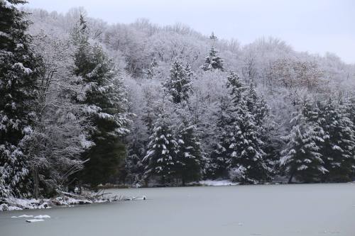 A serene winter landscape featuring snow-covered trees beside a frozen lake under a gray sky.