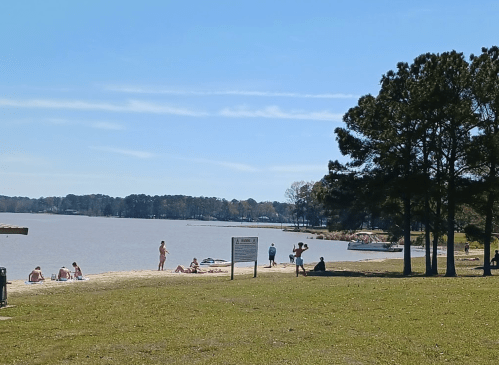 A sunny lakeside scene with people relaxing on the beach and trees lining the shore.