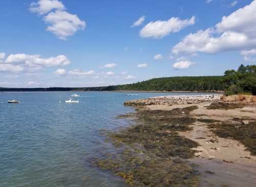 A serene coastal scene with boats on calm water, rocky shore, and lush green trees under a blue sky with fluffy clouds.