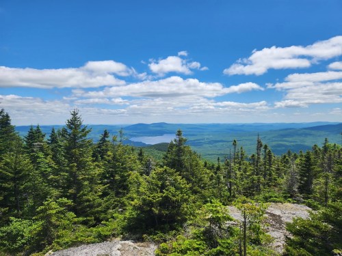 A panoramic view of lush green trees and a serene lake under a bright blue sky with fluffy clouds.